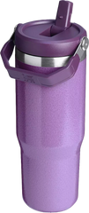 Stanley 30 oz. IceFlow Flip Straw Tumbler