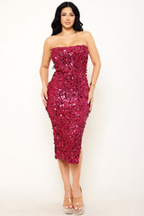 Sequin Tube Top Midi Dress