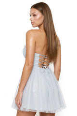 Glitter Mesh Pleated Mini Dress