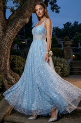 Sequins On Mesh Ball Gown Maxi Dress