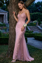 Flower Appliques On Mesh Trumpet/Mermaid Maxi Dress