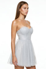 Glitter Mesh Pleated Mini Dress