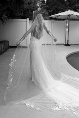 Stevie Veil