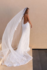 Stevie Veil
